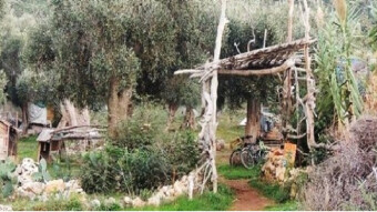 A Freedom Message: "Il Giardino della Gioia"