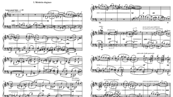 Two Bottled Leaves for Pianoforte: I. Mottetto elegiaco [Philip Daniel; 2016]