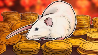 IS THIS STILL THE YEAR OF THE RATS??