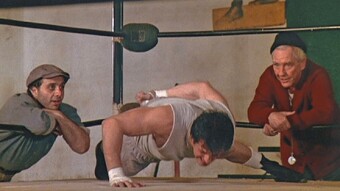 Master the One arm push up: A road to glory