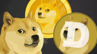 Who is the DOGE KILLER, SHIBA INU? 【ELLIPAL Coldwallet】