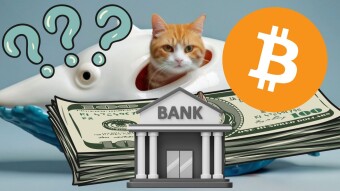 Crypto in Crypto-Friendly Banks: Friend or Foe? Should You Ditch Your Wallet?