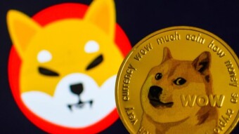 Dog Eat Dog: Shiba Inu Is Pushing Dogecoin