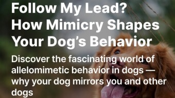 Follow My Lead? How Mimicry Shapes Your Dog’s Behavior