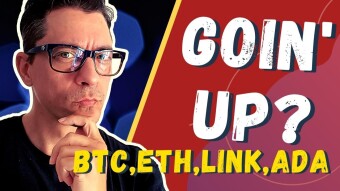 BTC, ETH, ADA, LINK... The Rally Continues