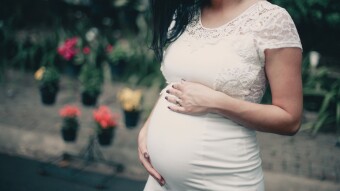 Pregnacy
