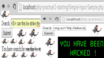 My Opinion of XSS/CSS, Digital Forensic, and Digital Crime Investigation when I was a Young Student