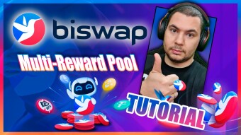Biswap Launched the Multi-Reward Pool and here is a tutorial on how to use it and earn different such as BSW, WBNB, and BUSD!