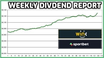 Wink.org | Record High Dividends!