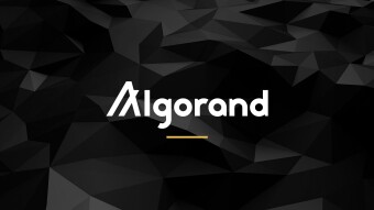 Is Algorand (ALGO) A Good Investment? In-depth Analysis and Near to Longer-Term Expectations