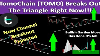 TomoChain (TOMO) Breaks Out The Triangle Right Now!!! | Now Channel's Breakout Is Expected