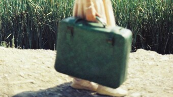 Hey! That's My Baggage.....  (No, it's mine!)