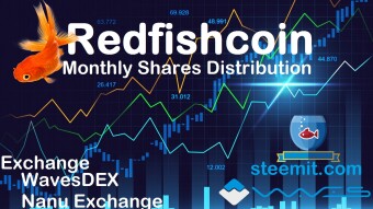 3/25/2019 Redfishcoin Stockholders Payment Report and Updates!