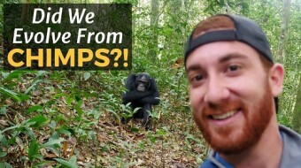 Did We Evolve From Chimps? UGANDA