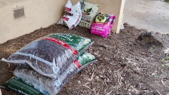 Gardening Full Time!