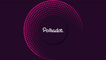 Polkadot Updated August 24th, 2021