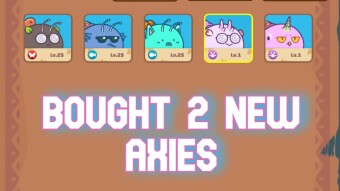 Taking advantage of the dip and buying more... Axies