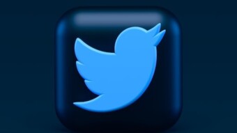 Tweet Tweet Poor Blue Bird