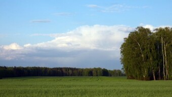 Another beautiful day in the Lublin area - My Actifit Report Card: April 28 2024