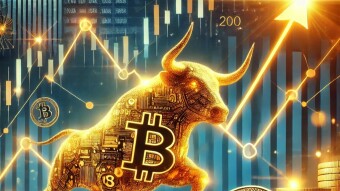 Here's How Bitcoin's 200-Week Average and Holder Trends Signal More Gains