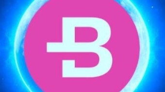 About Bytecoin Business