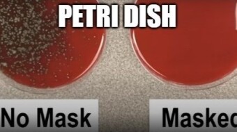 For Those Who Like Evidence - PHD Micro Biologist Provides Evidence What So-Called Conspiracy Theorist Have Been Saying Since The Beginning