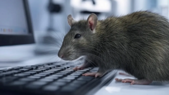 Lab Rats: 5 More Tools For Your RF Hacklab