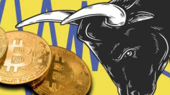 An asset class made by a crisis, for a crisis