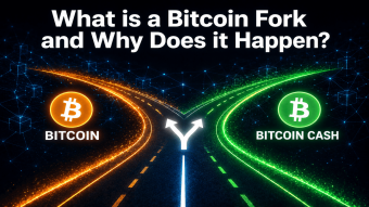 What is a Bitcoin Fork and Why Does it Happen?