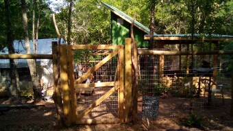 Apocalyptic Homesteading (Day 183-191)
