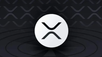 Ripple advocates for XRPL adoption and ripple primed to take up.