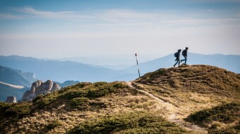 The Happiness Trap (Book Summary)