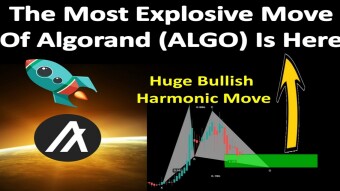 The Most Explosive Move Of Algorand (ALGO) Is Here