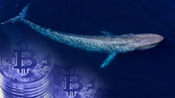 Warning !  Half Billion Dollar Bitcoin Transaction Mobilized the Market!