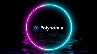 Polynomial Protocol Earn Vaults – A Quick Guide