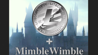 Is MimbleWimble Risky for LiteCoin?