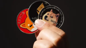 Why Are Meme Coins So Popular?