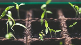Blockchain capability #4: Investments for everyone