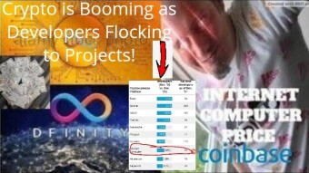 ICP Coin on Internet Computer Price Developers Investing Up over 146%