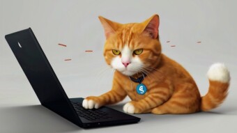 So You Think You Need a CS Degree to Work in Web3? Think Again!