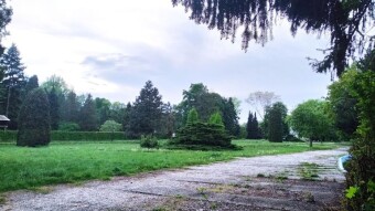 Today a quiet walk in the rain - My Actifit Report Card: May 11, 2026