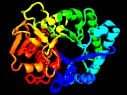 (IJCH) Protein Folding for Dummies (or Understanding How Protein Mechanics can improve the Lives of every Human Being on Earth!)