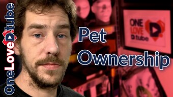 The Day All Pet Owners Dread – Daily D00k13 Nov-16-2020