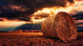 How To Avoid Impermanent Loss When Yield Farming