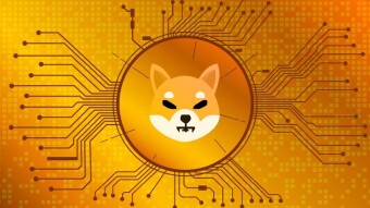 Why Shiba Inu is worthless with the current burn rate