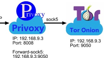 FreeBSD Bittorrent and Utorrent for High Speed ​​Anonymous Downloads - TOR Privoxy