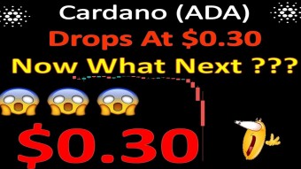 Cardano (ADA) Drops At $0.30 Now What Next ???