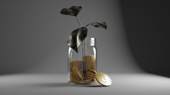 Go grab some crypto coins, Market is red