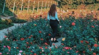 When You See Me On A Bed of Roses.