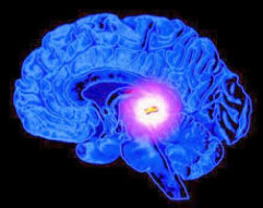 MENTAL SELF DEFENSE
